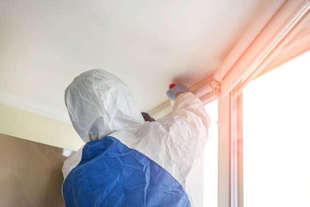 Mold Documentation for Insurance Claims in Rocklin, CA